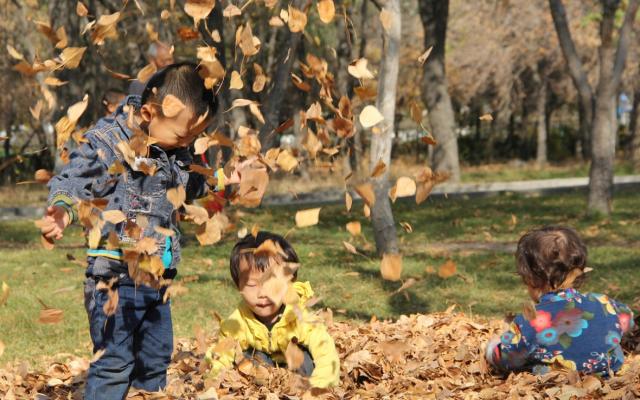 Многодетную мать в Башкирии осудили за уклонение от алиментов