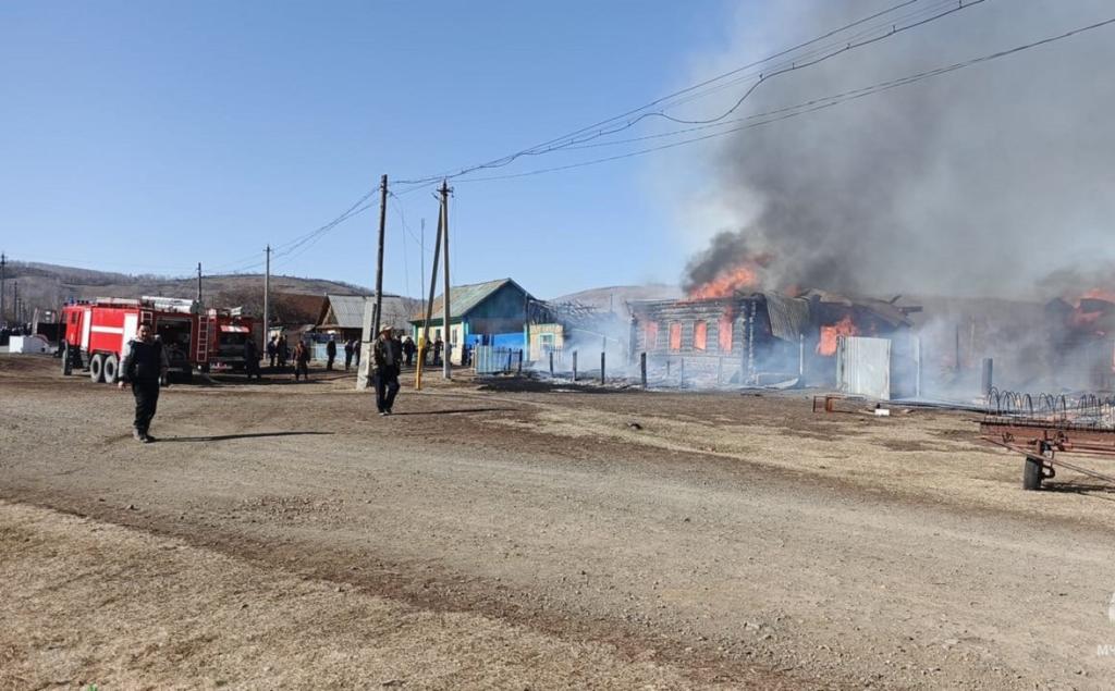 В крупном пожаре в Учалинском районе погибли 18 животных