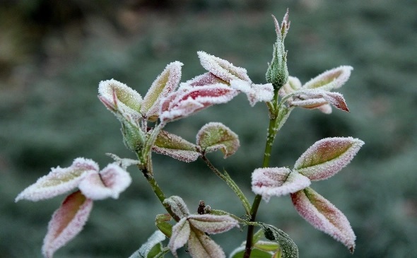 Башгидрометцентр рассказал, какая погода ждет жителей Башкирии в октябре