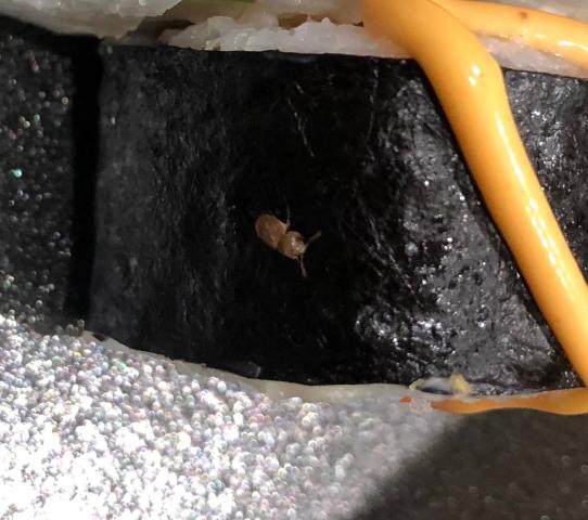 Уфимцу доставили роллы с жуком