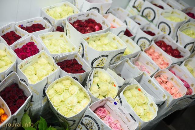 В Уфе родители сэкономят на подарках ко Дню учителя