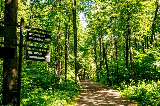 В Башкирии создадут альпака-парк за 75,8 млн рублей