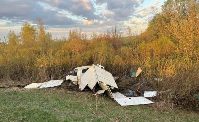 «ГАЗель» сбила лося на трассе в Башкирии