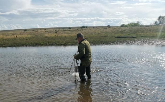 В Башкирии выясняют причины гибели рыбы в двух реках
