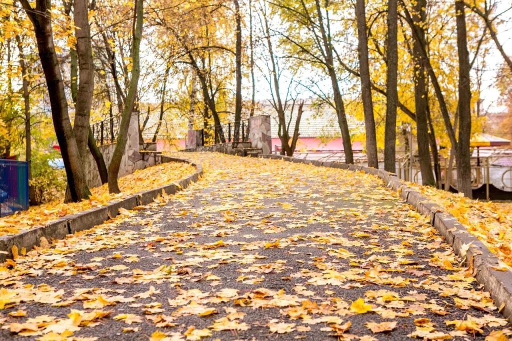 Синоптики зафиксировали новый температурный рекорд в Уфе