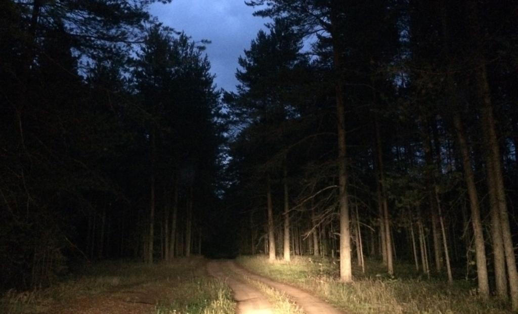  Спасатели в Башкирии нашли в лесу потерявшуюся семейную пару