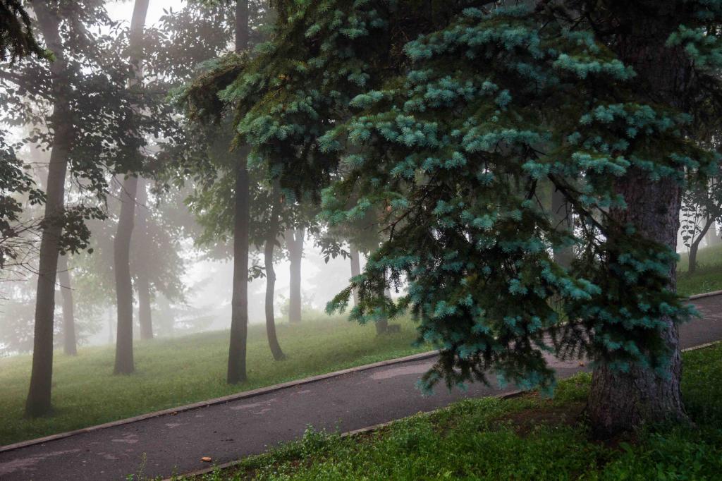 С начала года в Башкирии клещи покусали более девяти тысяч человек