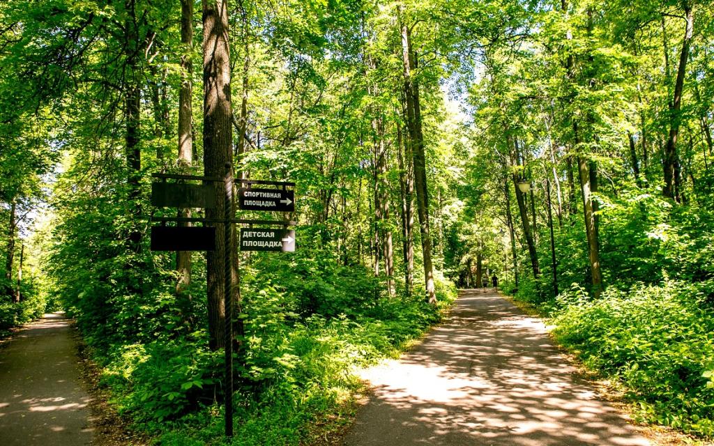 В Уфе для строительства трех мостов изменили границы городского леса