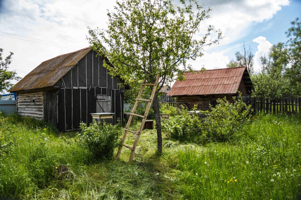 Как зарегистрировать садовый участок, оформить магазин в доме и бесплатно провести кадастровые работы в СНТ