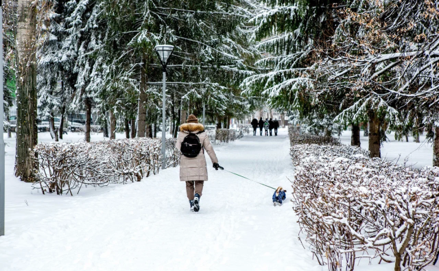Синоптики прогнозируют морозы до -35 в Башкирии в выходные