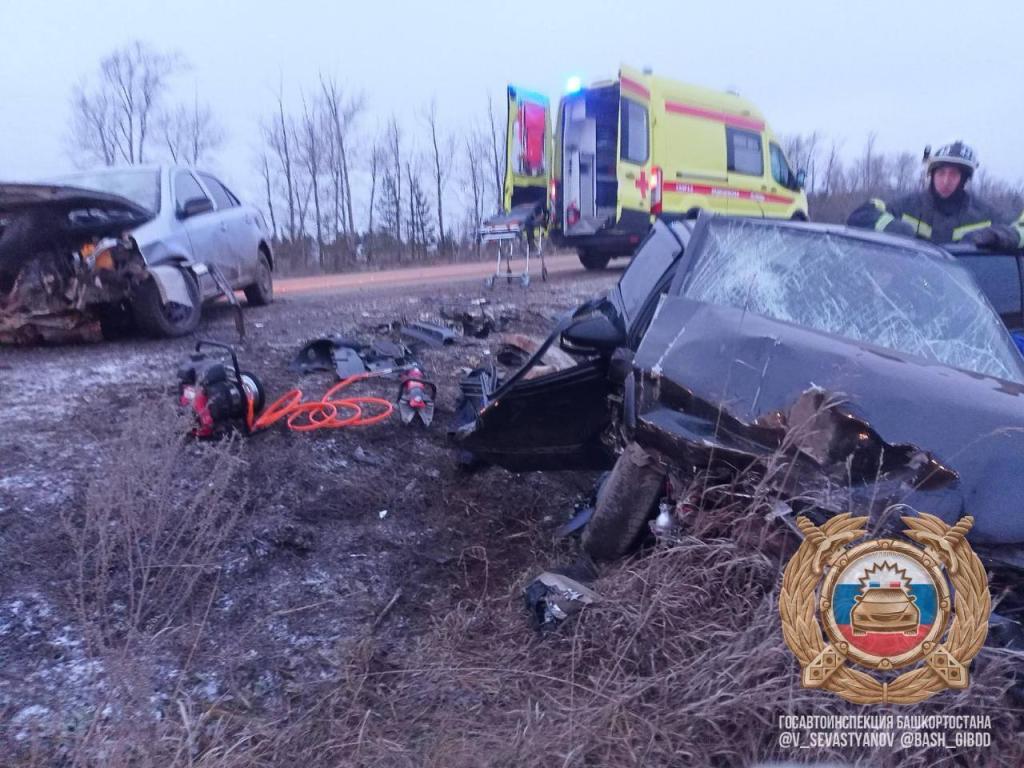 Пять человек пострадали при столкновении двух иномарок в Башкирии