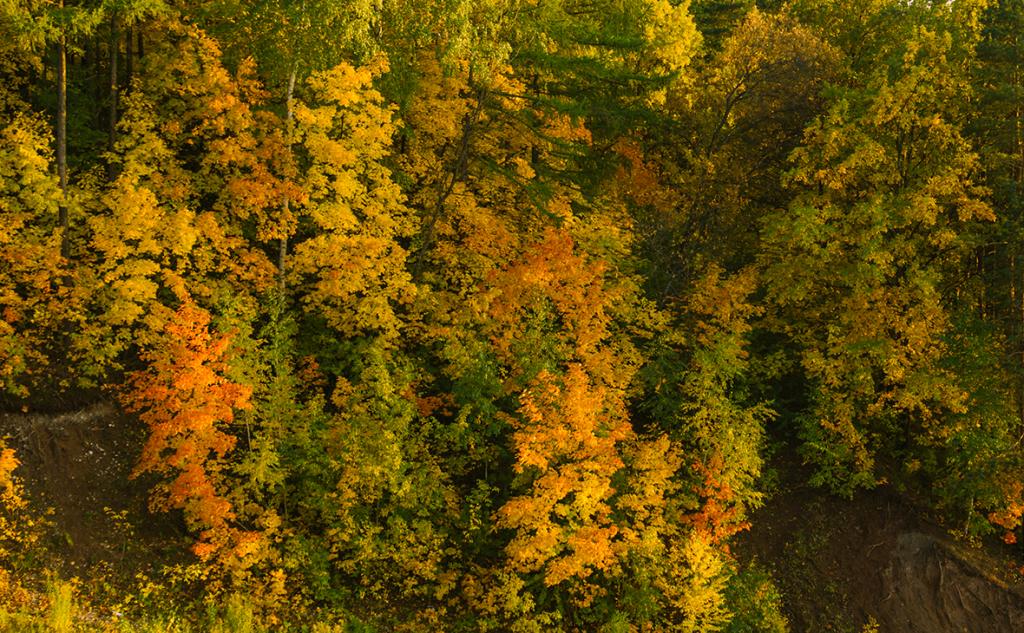 В Башкирии ситуация по пожарной опасности критическая в 10 районах