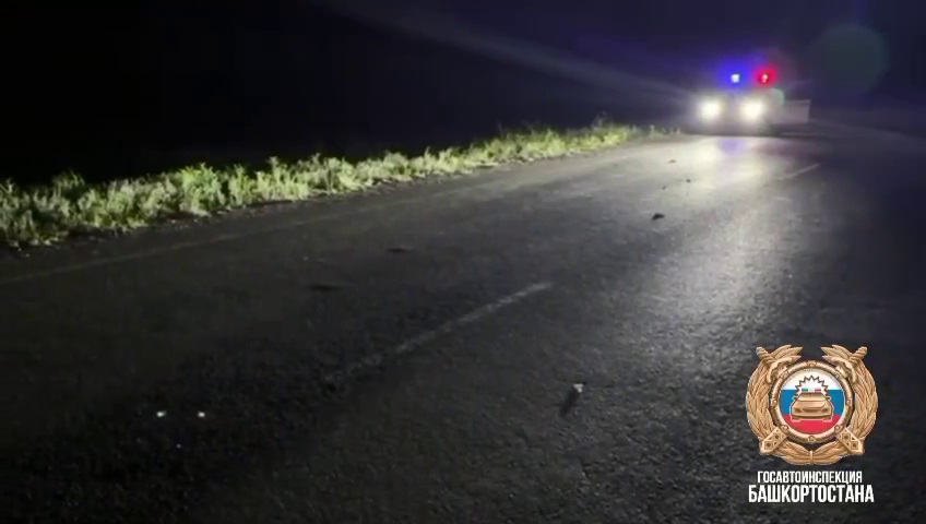 Иномарка насмерть сбила пешехода на трассе в Башкирии