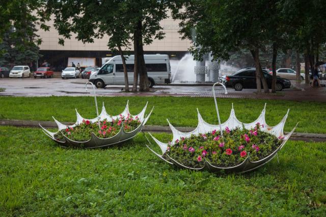 В Уфе вандалы украли с городских клумб 350 гортензий