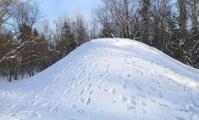 В Уфе девочка получила перелом позвонков, катаясь с несанкционированной горки