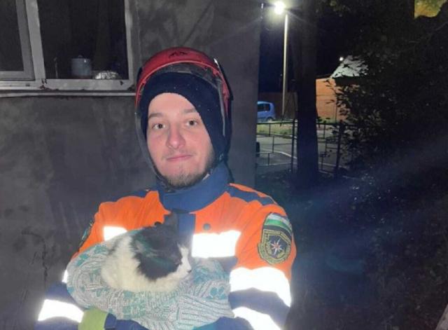 В Башкирии спасатели сняли кошку с четырехметрового дерева