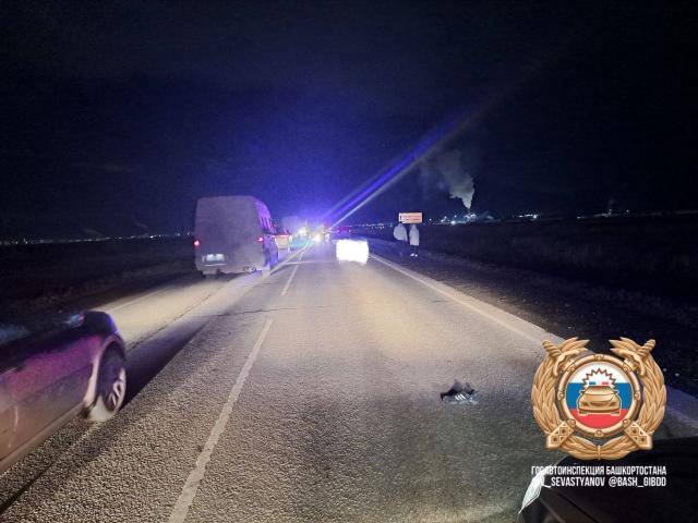 Водитель Kia насмерть сбил мужчину на трассе М-5 под Уфой