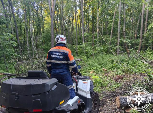 Заблудившийся в Башкирии грибник провел ночь в лесу