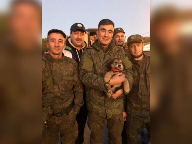 У мобилизованных из Уфимского района появился маленький подопечный