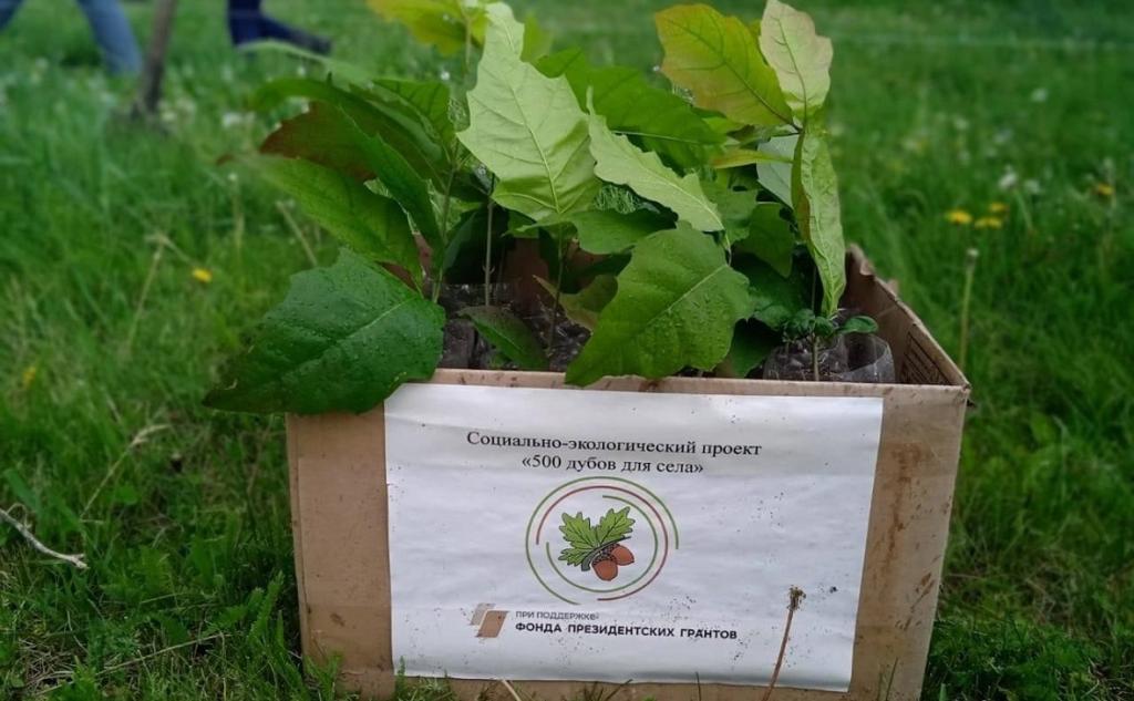 Житель Башкирии выиграл президентский грант на посадку деревьев для защиты от рака