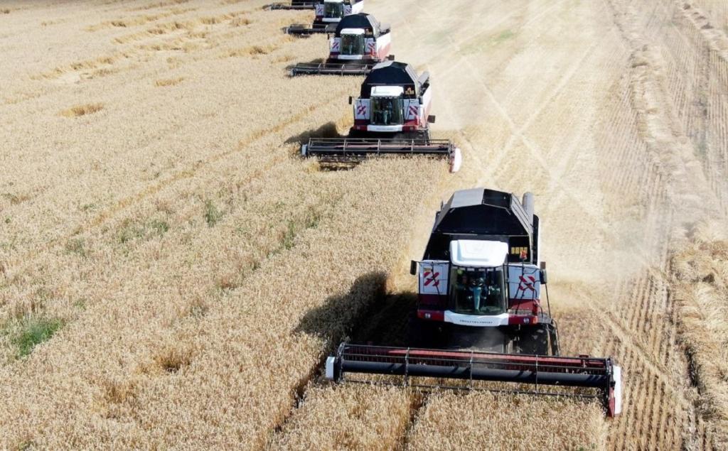 Урожай зерна в Башкирии может превысить результат прошлого сезона