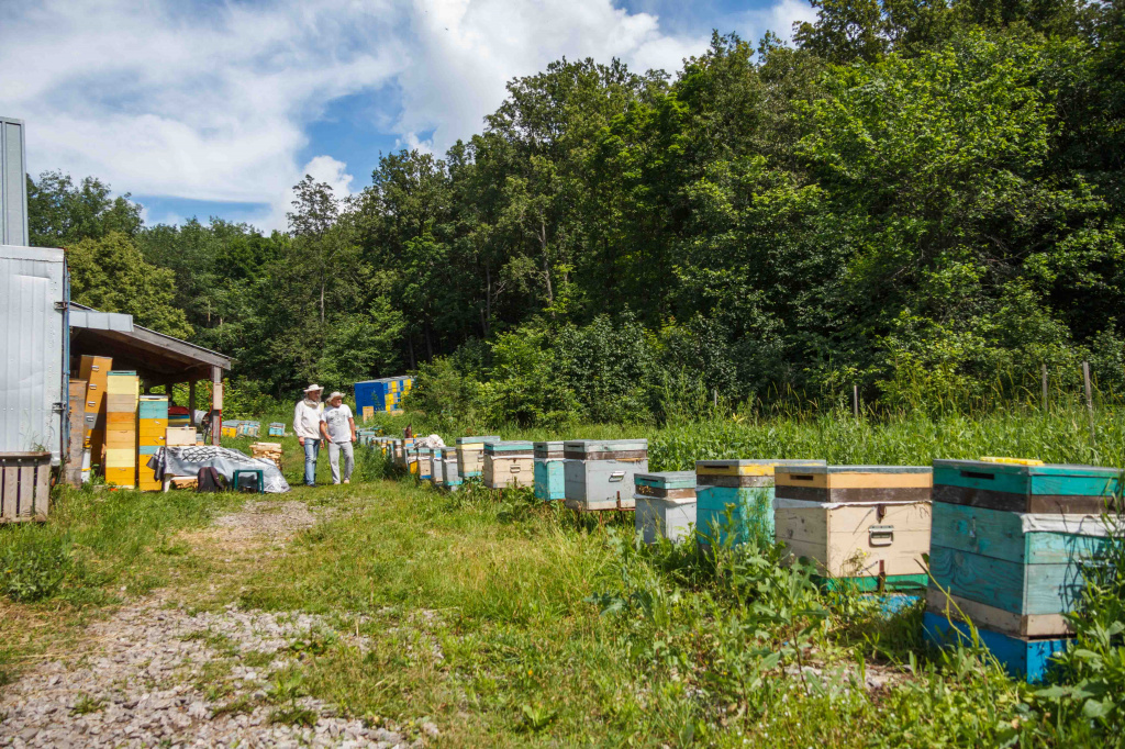 IMG_7060.jpg IMG_7060.jpg