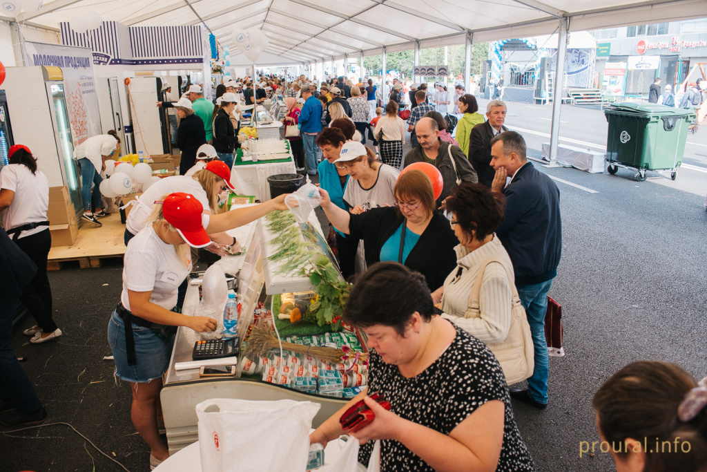 Молочная страна (3).jpg