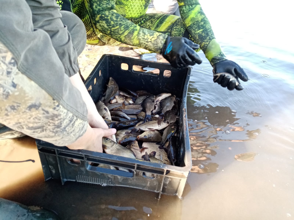 WhatsApp Image 2022-10-23 at 15.19.18.jpeg