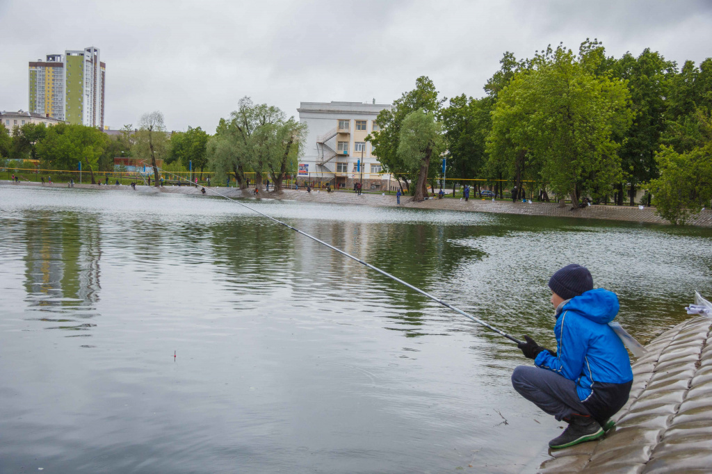 IMG_9548.jpg IMG_9548.jpg