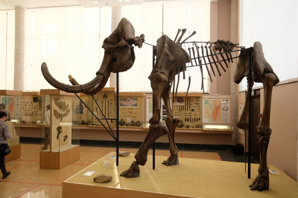 WhatsApp Image 2023-03-21 at 11.45.10.jpeg