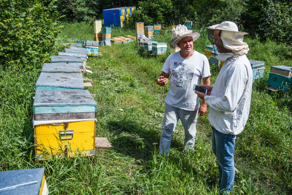 IMG_6950.jpg IMG_6950.jpg