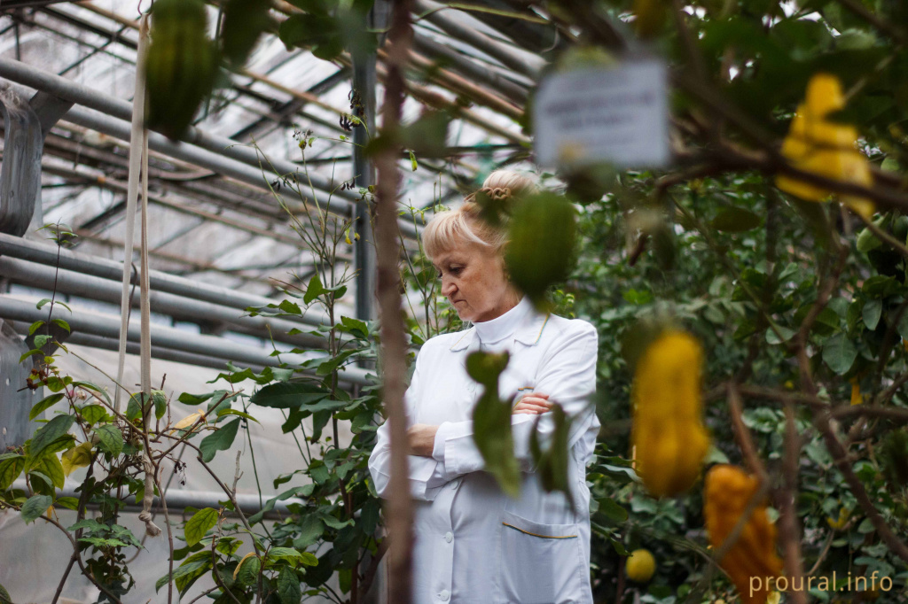 Фарида Валеевна,.jpg Фарида Валеевна,.jpg