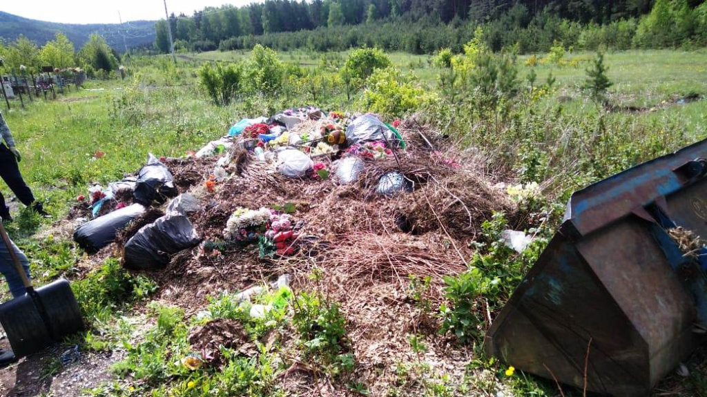 свалка 2.jpg