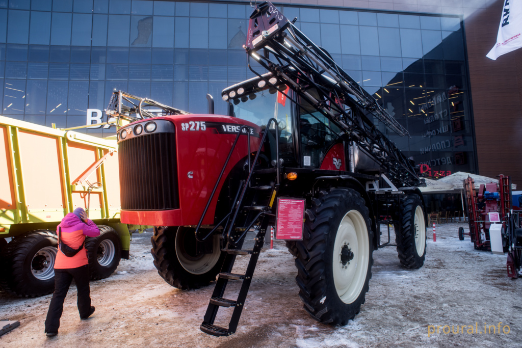 DSC_8020.jpg DSC_8020.jpg