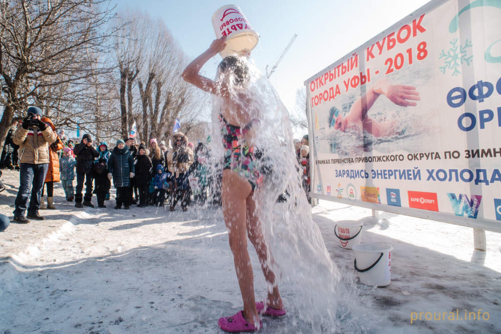 DSC_2424.jpg DSC_2424.jpg