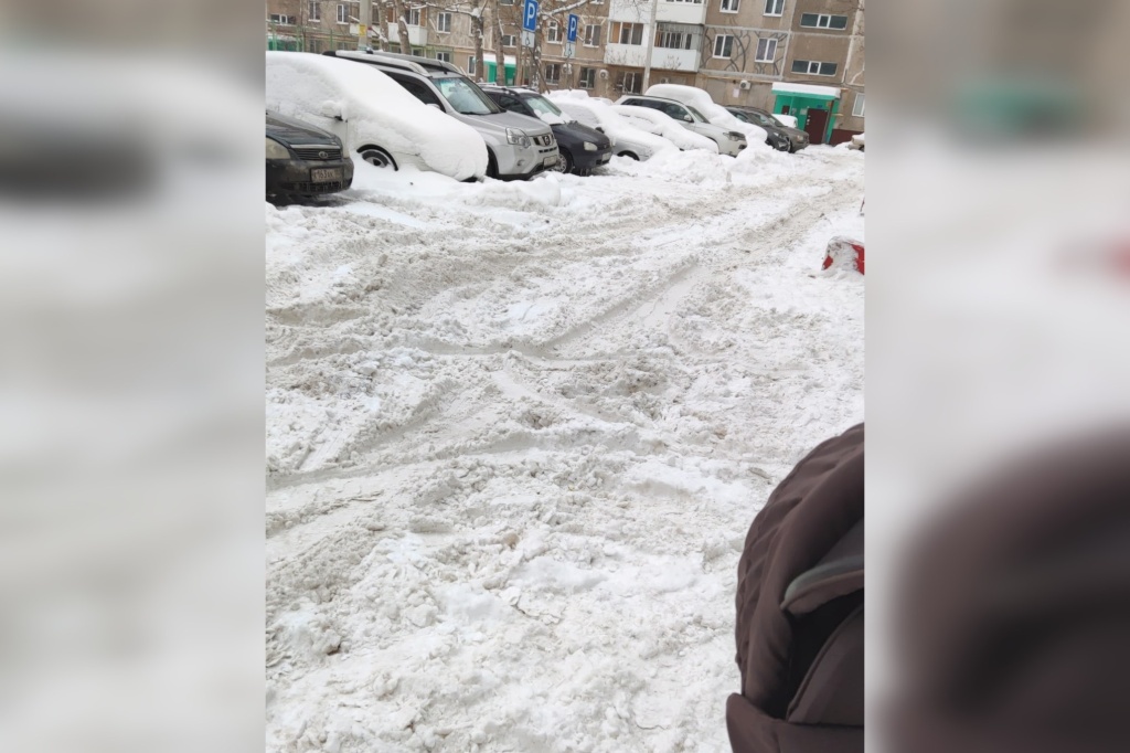 снег 8а.jpg снег 8а.jpg