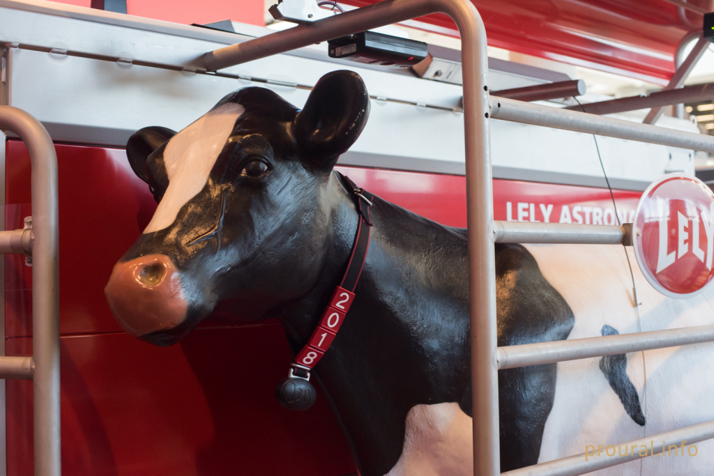 DSC_7970.jpg DSC_7970.jpg