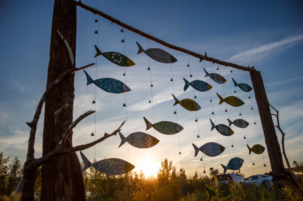 IMG_4979.jpg IMG_4979.jpg