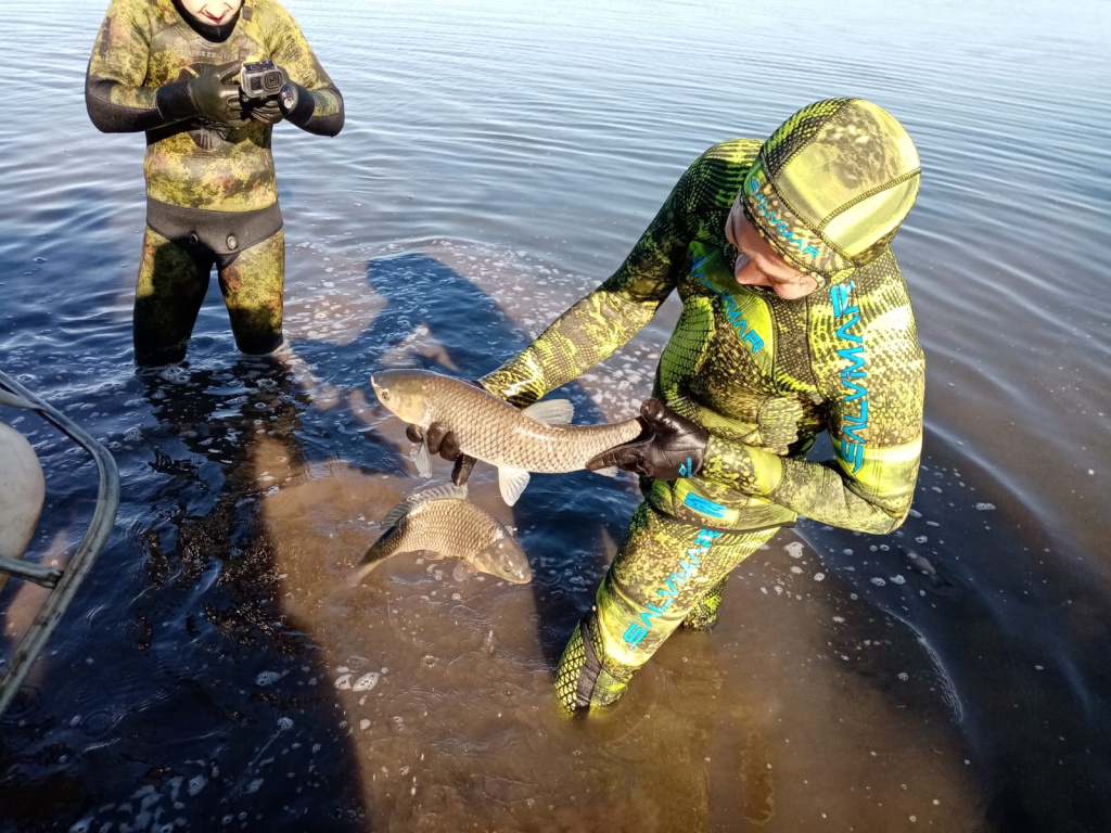 WhatsApp Image 2022-10-23 at 15.19.22.jpeg