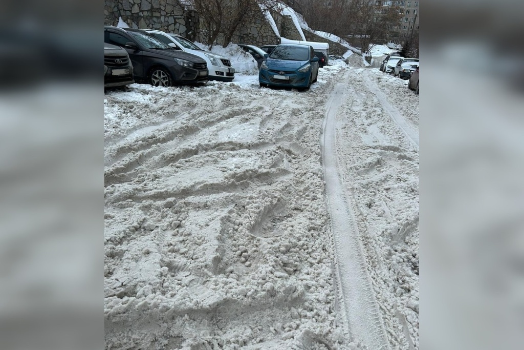 снег 4.jpg снег 4.jpg