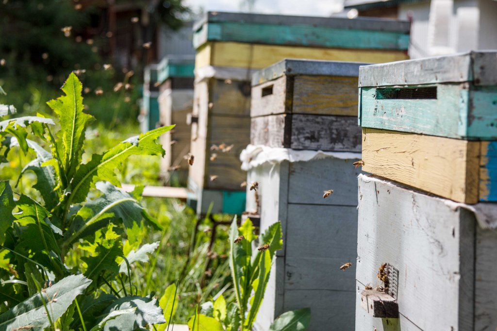 IMG_6941.jpg IMG_6941.jpg