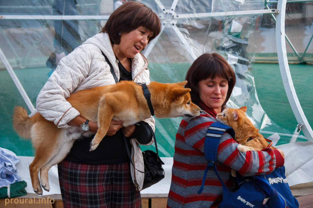 IMG_0141.jpg IMG_0141.jpg