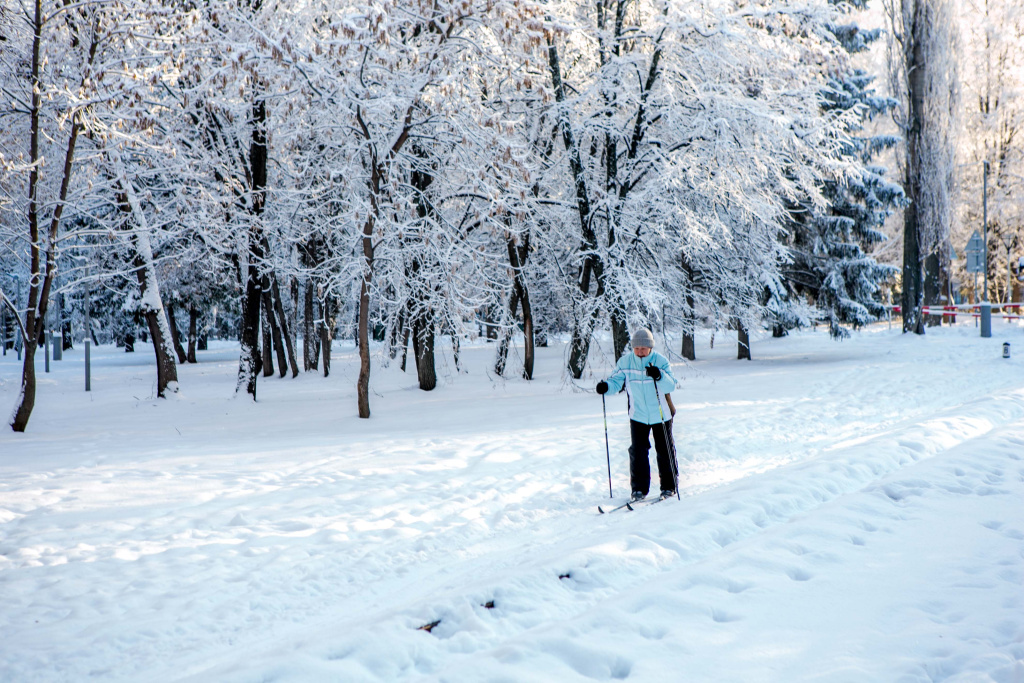 Фото 10.jpg Фото 10.jpg
