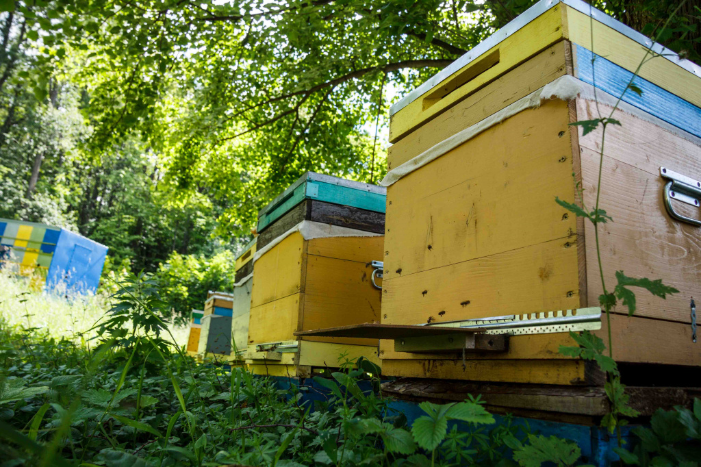 IMG_6987.jpg IMG_6987.jpg