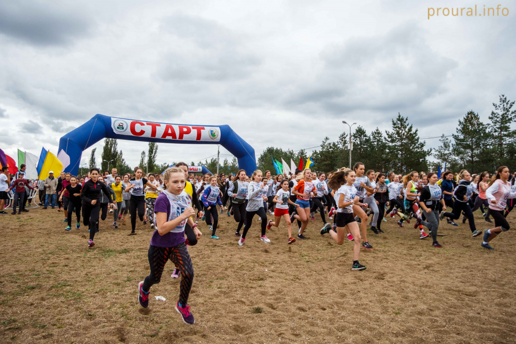 IMG_5384.jpg IMG_5384.jpg