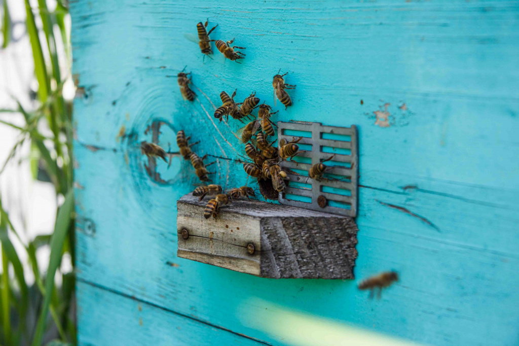 IMG_6974.jpg IMG_6974.jpg