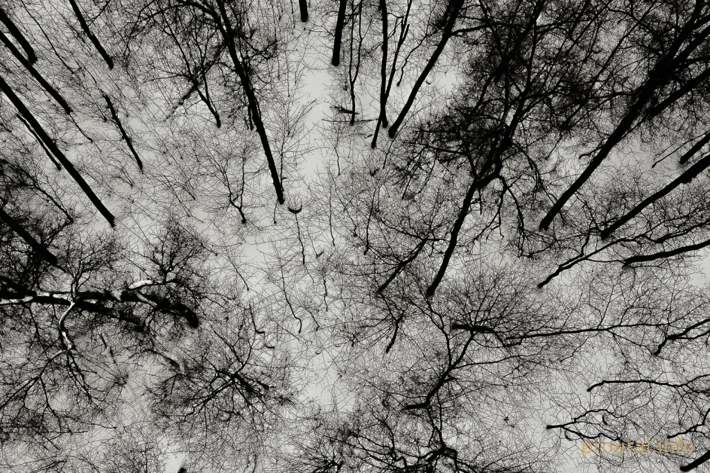 Самрау фестиваль воздушные шары город (60).JPG