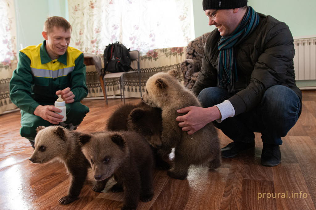 медведи мишки 2020 парк лесоводов зверинец (8).jpg