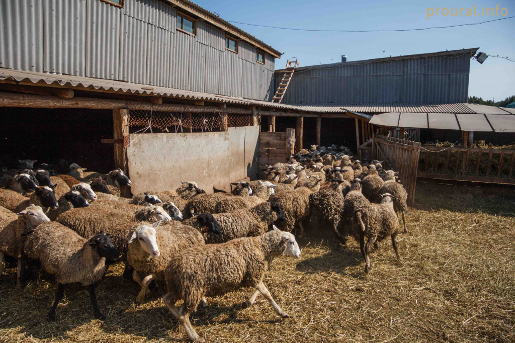 IMG_5995.jpg IMG_5995.jpg