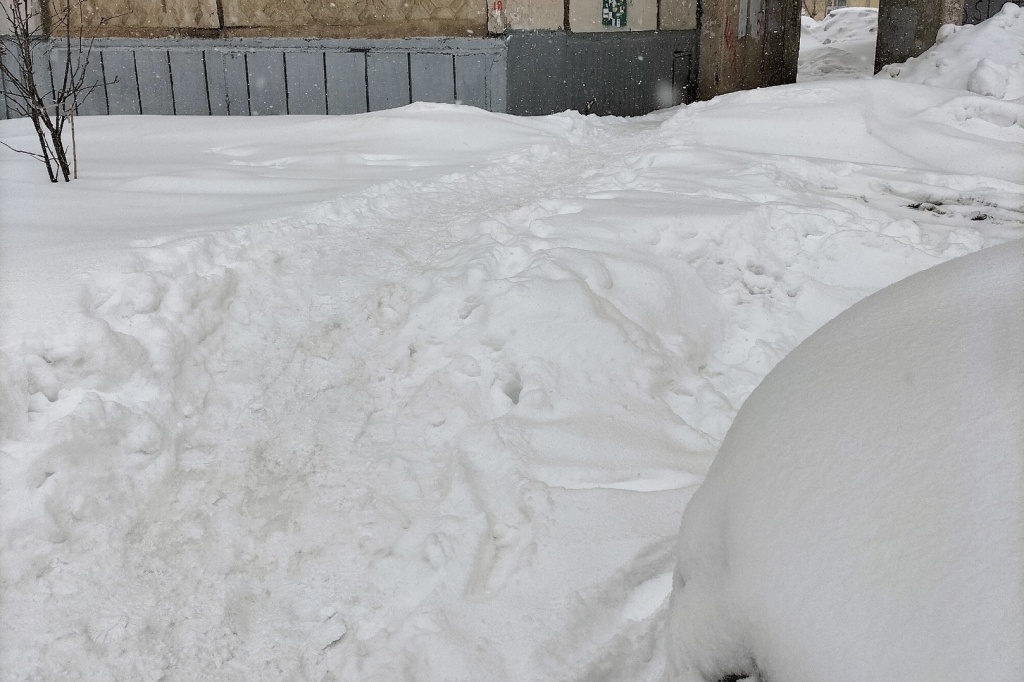 снег 7.jpg снег 7.jpg